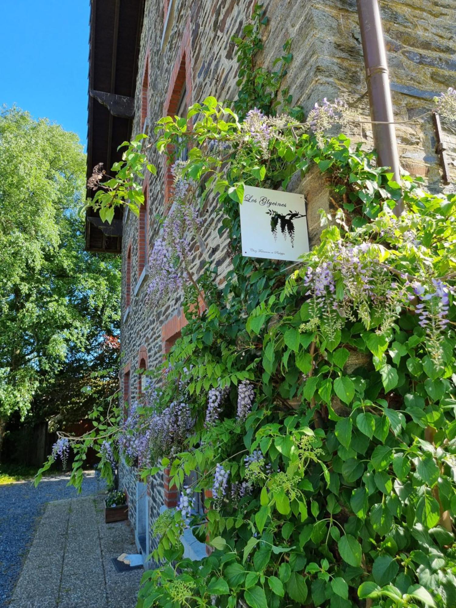 Les Glycines Villa Gouvy Rum bild