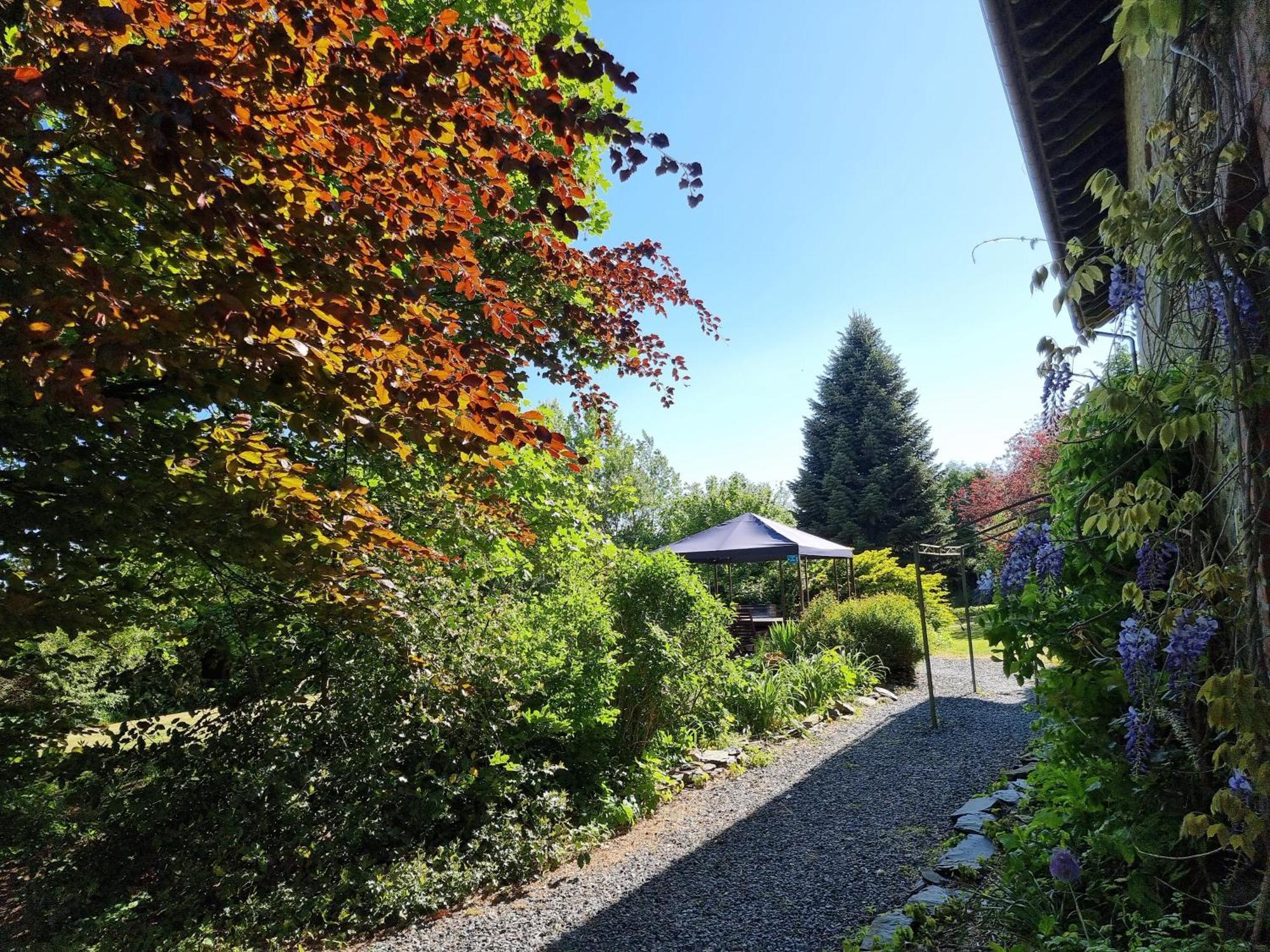 Les Glycines Villa Gouvy Rum bild